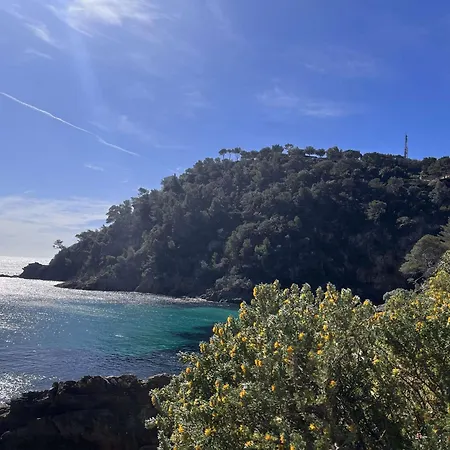 Ca170-038 4 Couchages Sur Cavalaire-sur-Mer